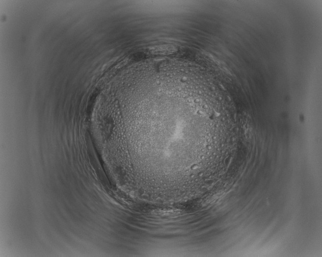 X0000070210745200605301402