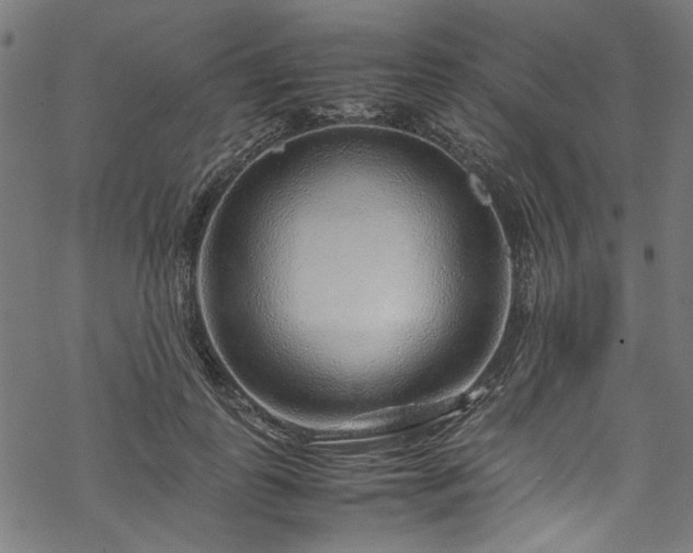 X0000070210747200605301402