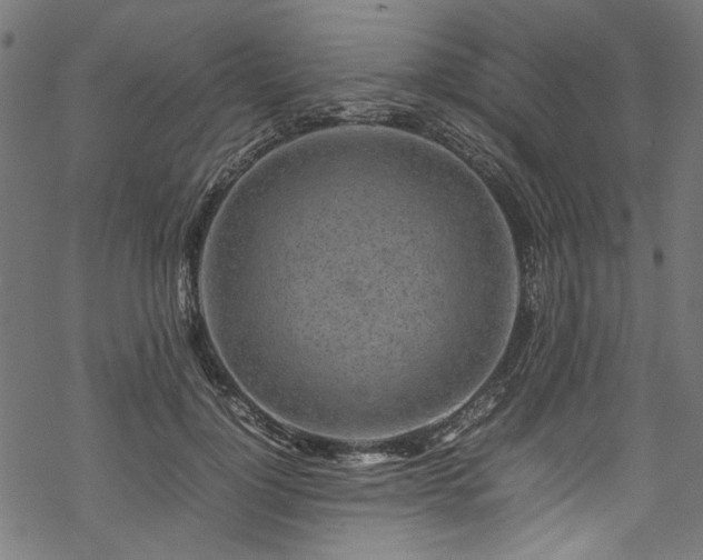 X0000070210748200605301402