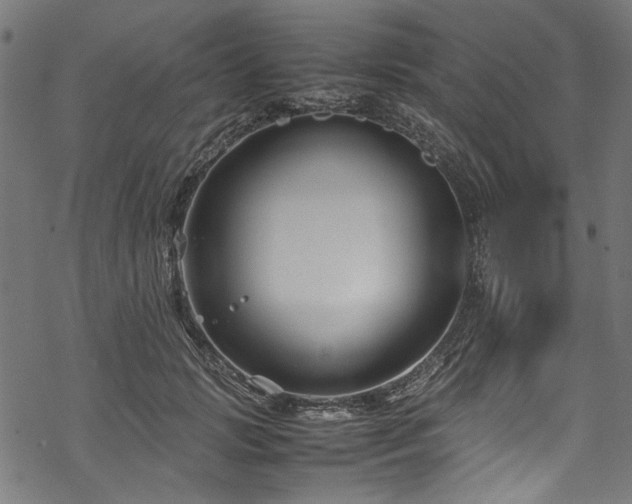 X0000070210749200605301402