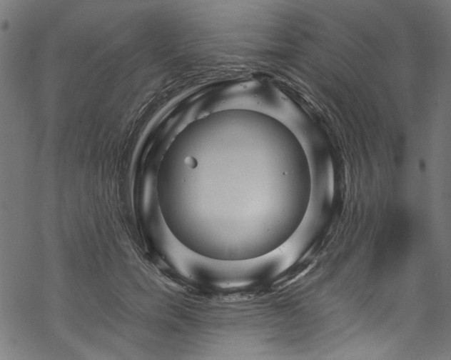 X0000070210750200605301402