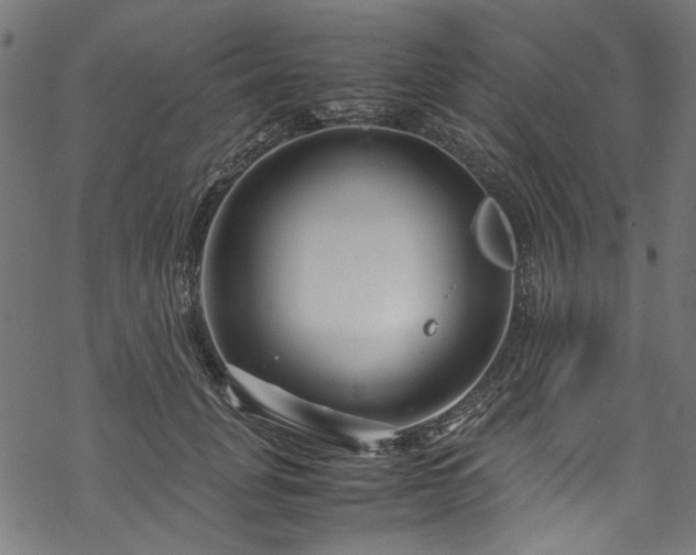 X0000070210751200605301402