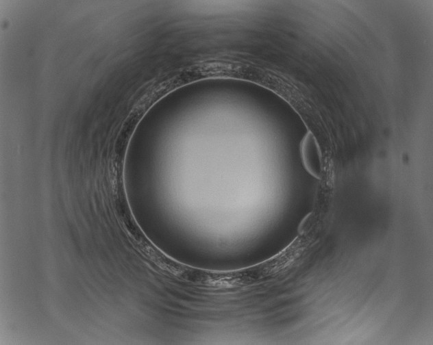 X0000070210753200605301402