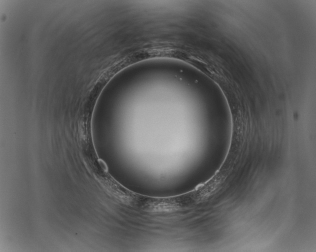 X0000070210755200605301402