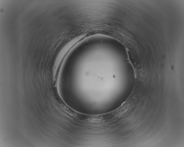 X0000070210756200605301402