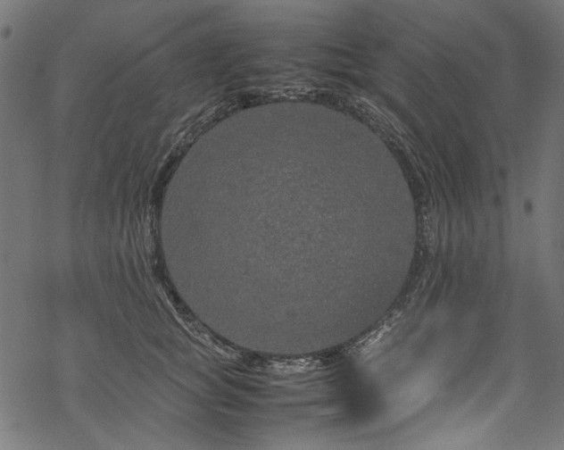 X0000070210757200605301402