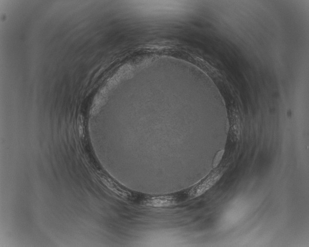 X0000070210758200605301402