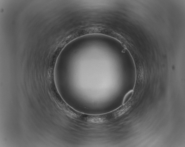 X0000070210759200605301402