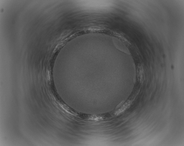 X0000070210760200605301402