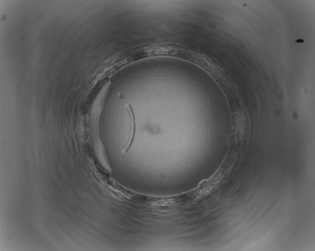 X0000070210761200605301402