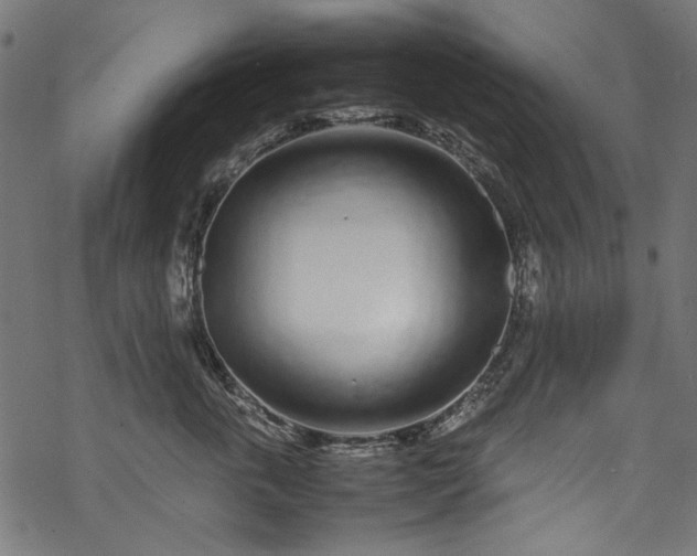 X0000070210763200605301402