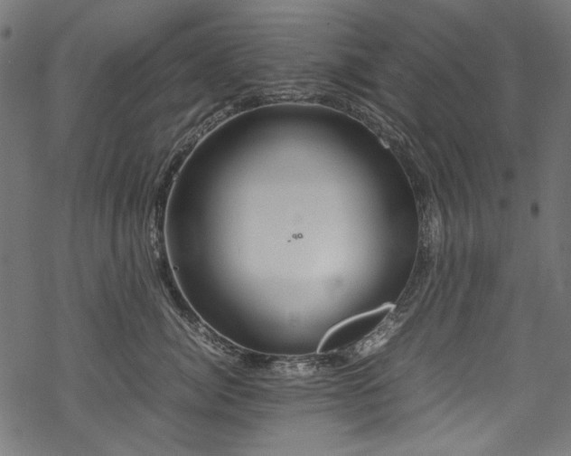 X0000070210764200605301402