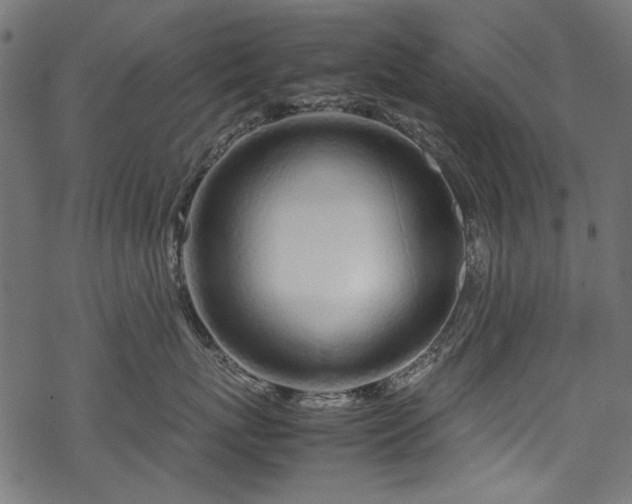 X0000070210767200605301402