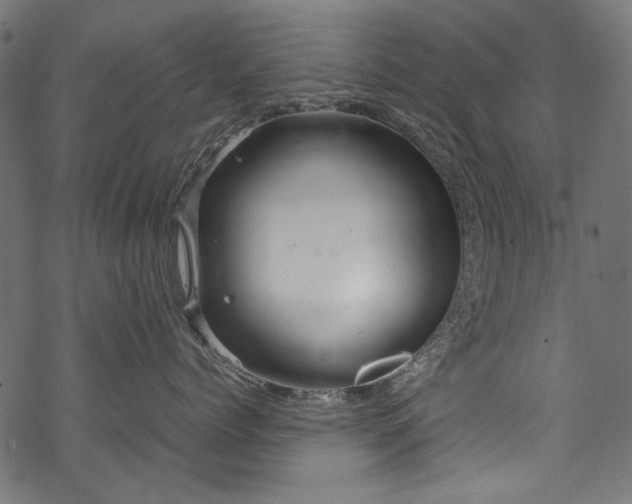 X0000070210768200605301402