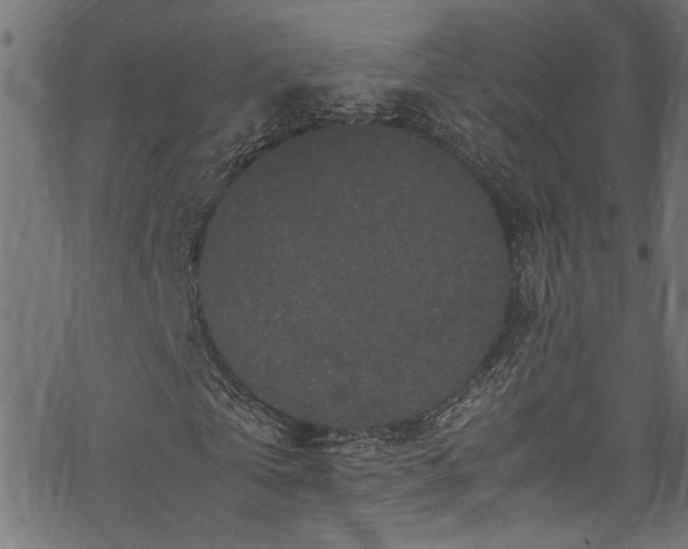 X0000070210769200605301401