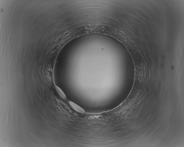 X0000070210770200605301401