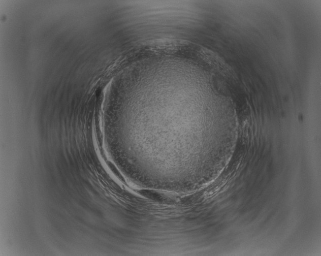 X0000070210772200605301401