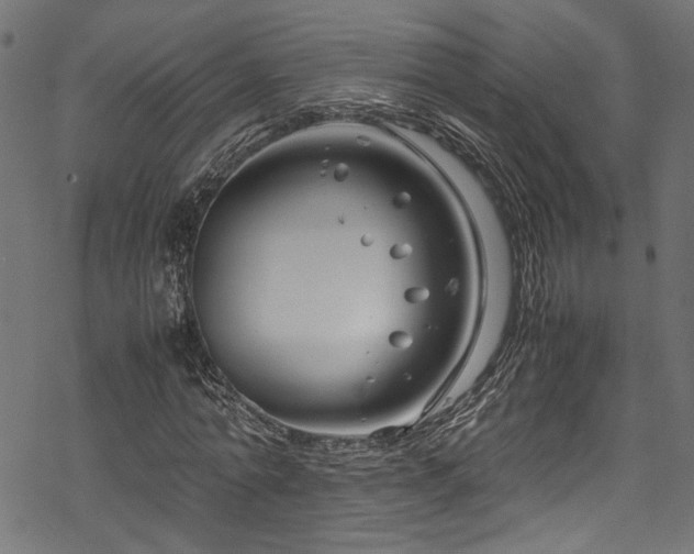 X0000070210774200605301401