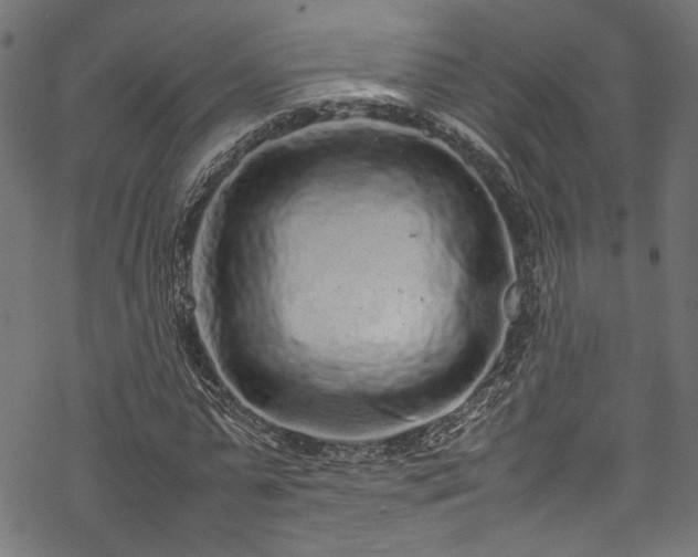 X0000070210775200605301401