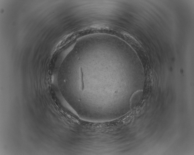 X0000070210776200605301401