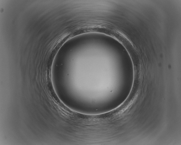 X0000070210777200605301401