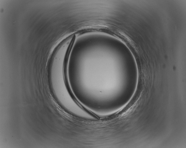 X0000070210779200605301401