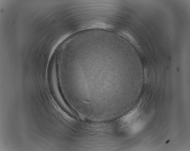 X0000070210780200605301401