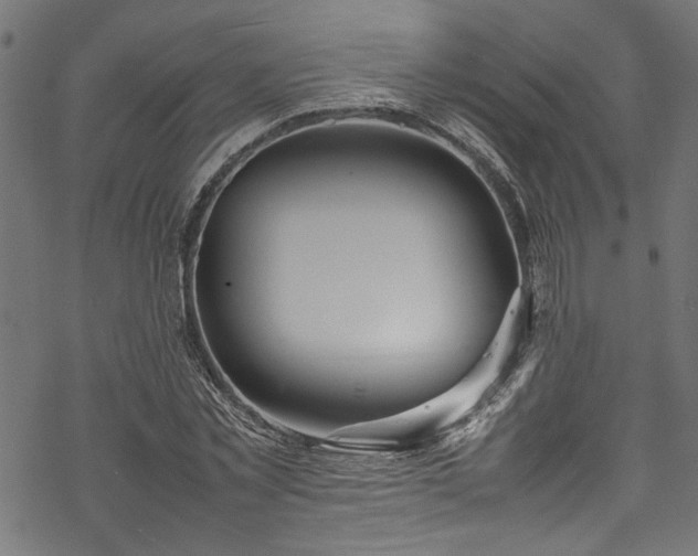 X0000070210781200605301401