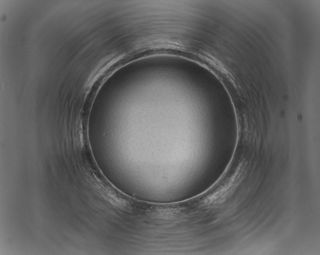 X0000070210782200605301401