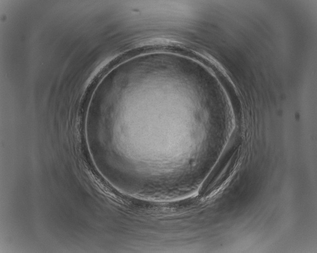 X0000070210783200605301401