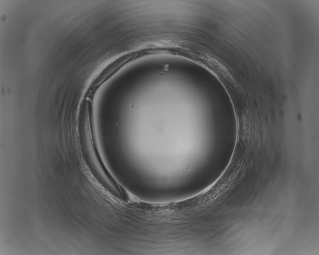 X0000070210784200605301401