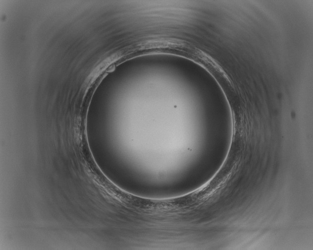 X0000070210786200605301401