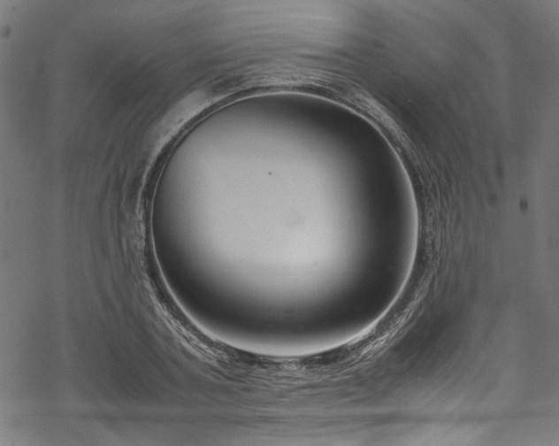 X0000070210787200605301401