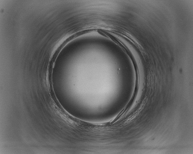 X0000070210788200605301401