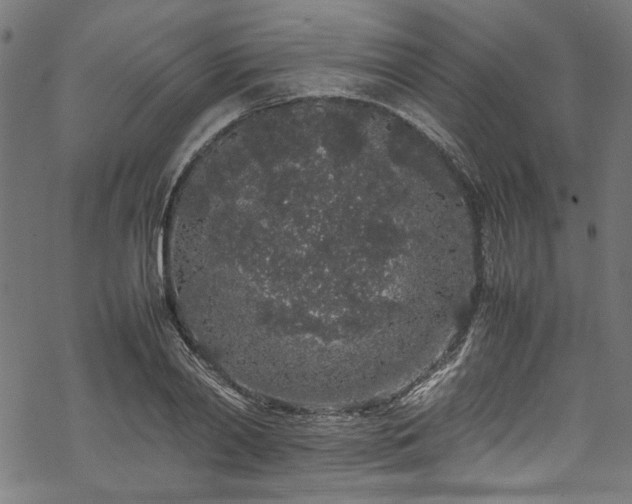 X0000070210790200605301401