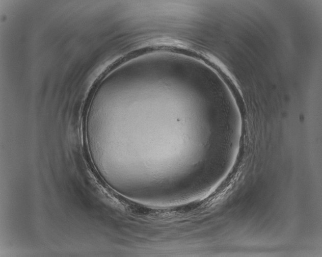 X0000070210791200605301401