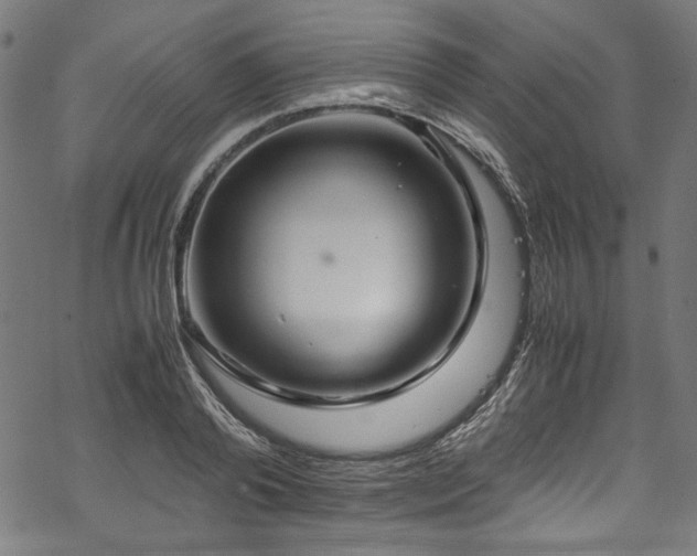 X0000070210792200605301401