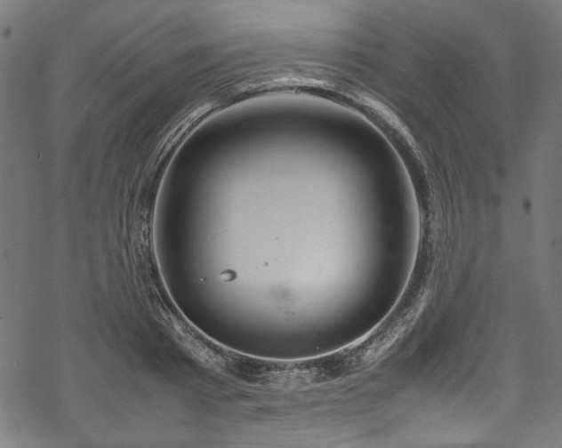 X0000070210793200605301401