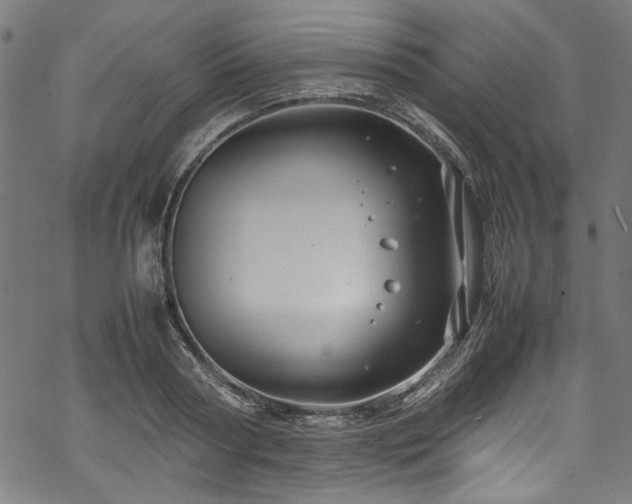 X0000070210794200605301401