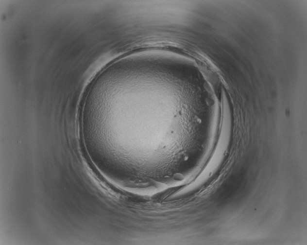 X0000070210795200605301401