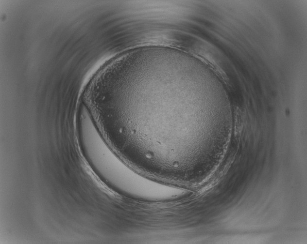 X0000070210796200605301401