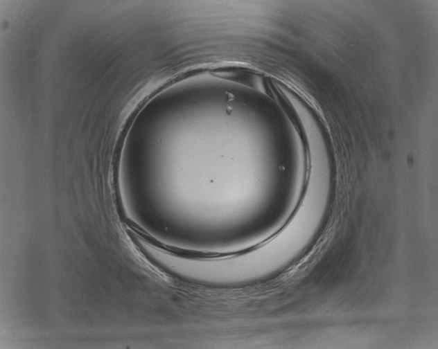 X0000070210797200605301401