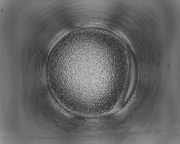 X0000070210798200605301401