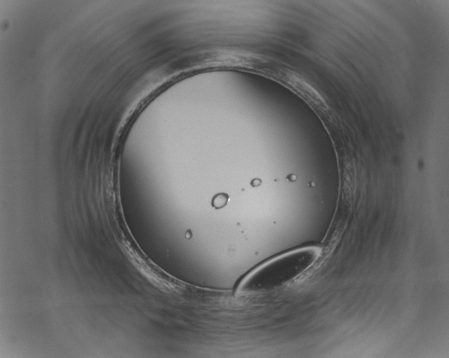 X0000070210800200605301401