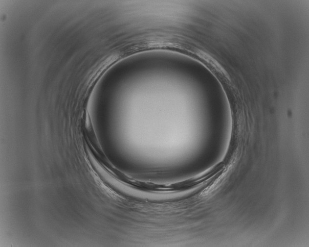 X0000070210801200605301401