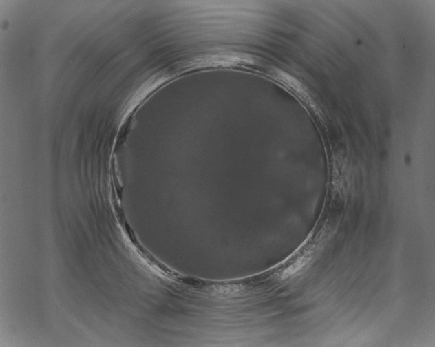 X0000070210802200605301401