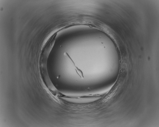 X0000070210803200605301401