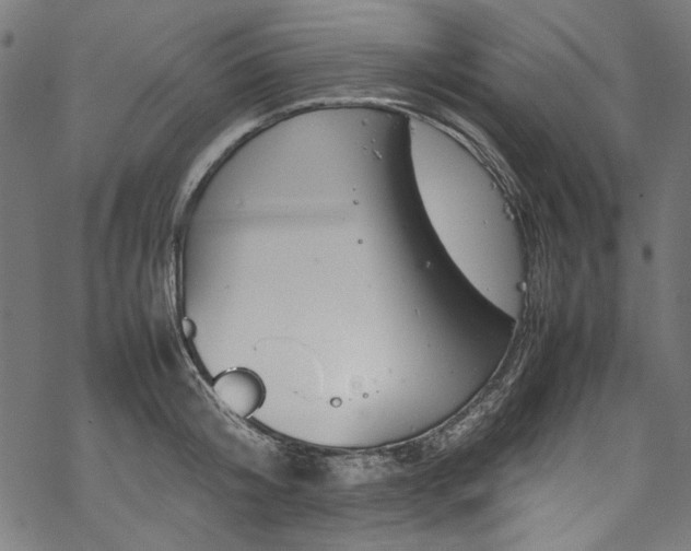 X0000070210804200605301401