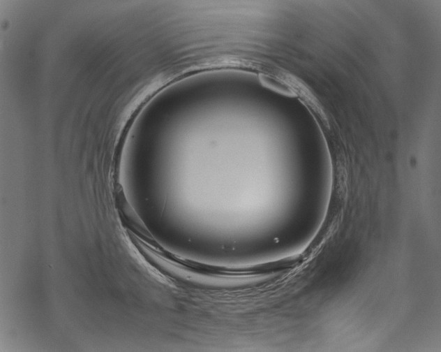 X0000070210805200605301401