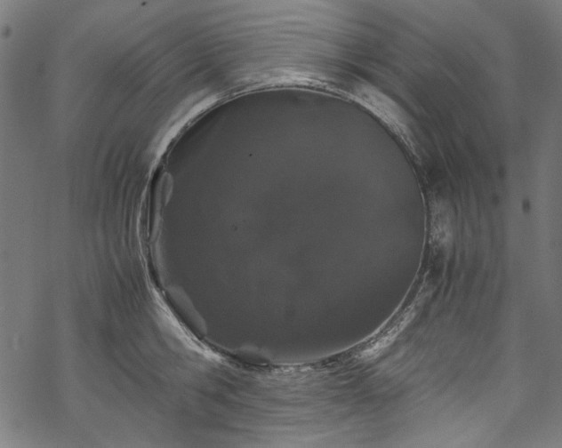 X0000070210806200605301401